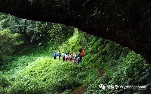 俄航空运输署：初步确定在阿富汗失踪的“猎鹰”号飞机上有6人